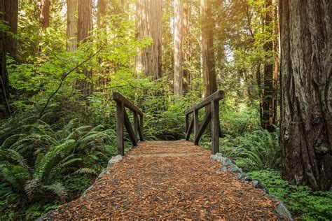 nor cal cities|10+ Best Places to Visit in Northern California .